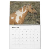 "Beauty Queens" MustangWild 2026 Calendar  Kalender (Mar 2026)