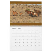 "Beauty Queens" MustangWild 2026 Calendar  Kalender (Jan 2026)