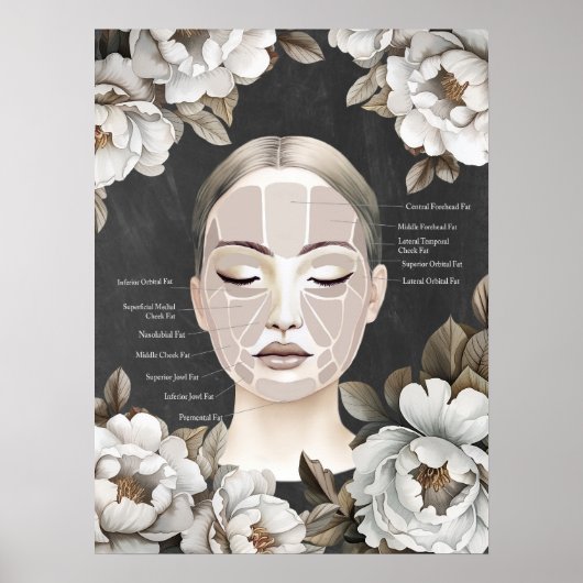 Beauty Salon Facial Anatomy Wanddecor Poster (Voorkant)