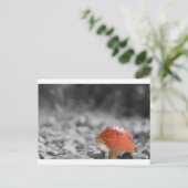 Beauty Shroom Briefkaart (Staand voorkant)