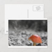 Beauty Shroom Briefkaart (Voorkant / Achterkant)