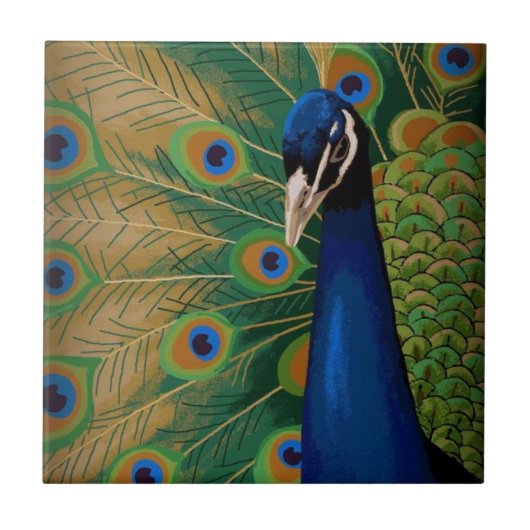 BEAUTY TEGELTJE (Voorkant)