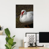 Beauty the Muscovy Hen Poster (Thuiskantoor)