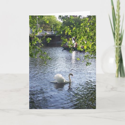 Beauty under the boughs kaart (Voorkant)