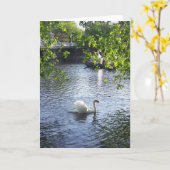 Beauty under the boughs kaart (Gele Bloem)