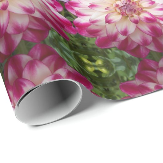 Beaux Cadeaupapier (Rol Hoek)