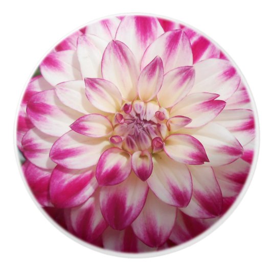 Beaux Keramische Knop (Voorkant)