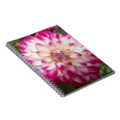 Beaux Notitieboek (Rechterzijde)