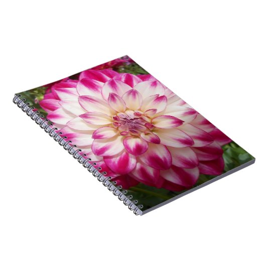 Beaux Notitieboek (Rechterzijde)