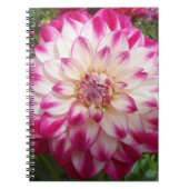 Beaux Notitieboek (Voorkant)