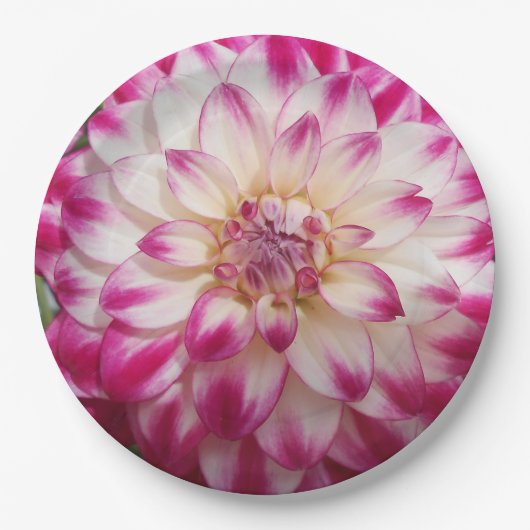 Beaux Papieren Bordje (Voorkant)