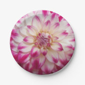 Beaux Papieren Bordje (Voorkant)