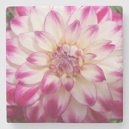 Beaux Stenen Onderzetter (Voorkant)