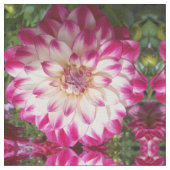 Beaux Stof (Close Up)