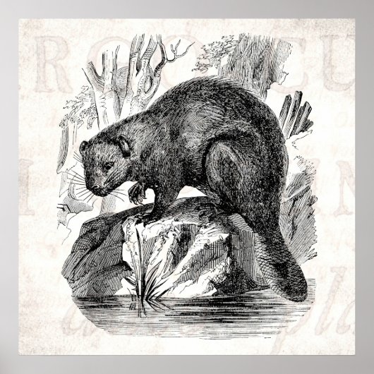  Beaver 1800s de Sjabloon van de Illustratie van d Poster (Voorkant)