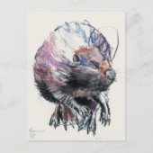 Beaver 2001 briefkaart (Voorkant)