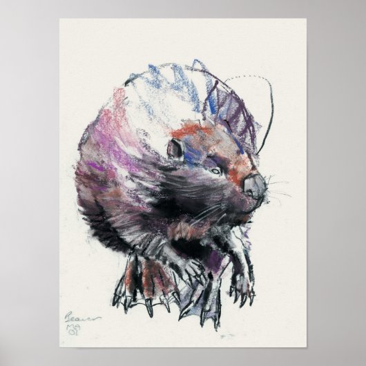 Beaver 2001 poster (Voorkant)