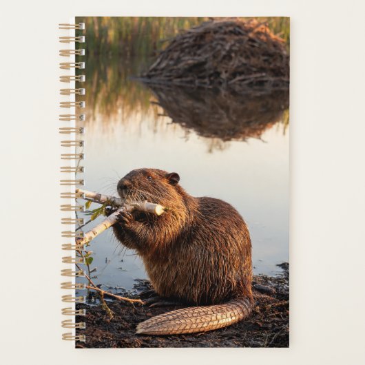 Beaver 2027 Planner (Voorkant)