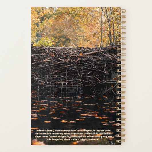 Beaver 2027 Planner (Achterkant)