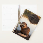 Beaver 2027 Planner (Display)