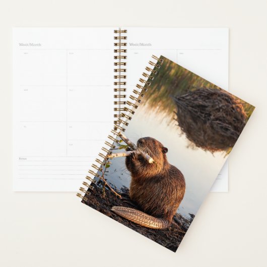Beaver 2027 Planner (Display)