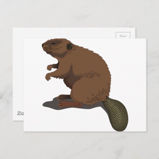 Beaver Briefkaart (Voorkant / Achterkant)
