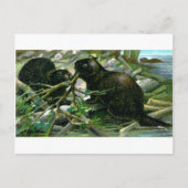 Beaver Briefkaart (Voorkant)