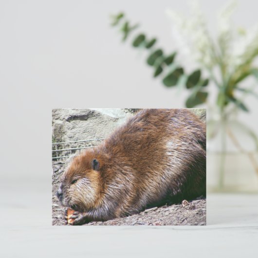 Beaver Briefkaart (Staand voorkant)