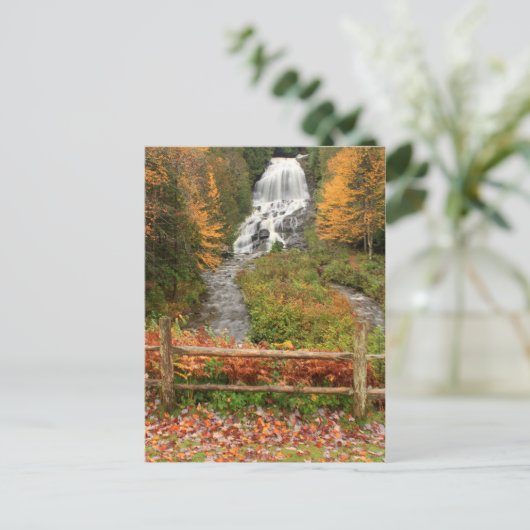 Beaver Brook Herfsten Colebrook Briefkaart (Staand voorkant)