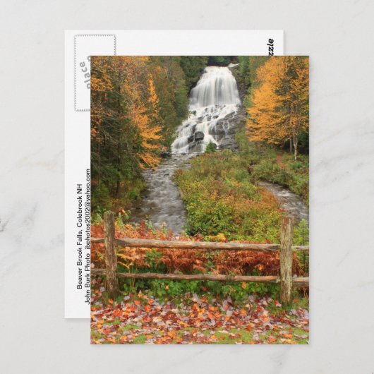 Beaver Brook Herfsten Colebrook Briefkaart (Voorkant / Achterkant)