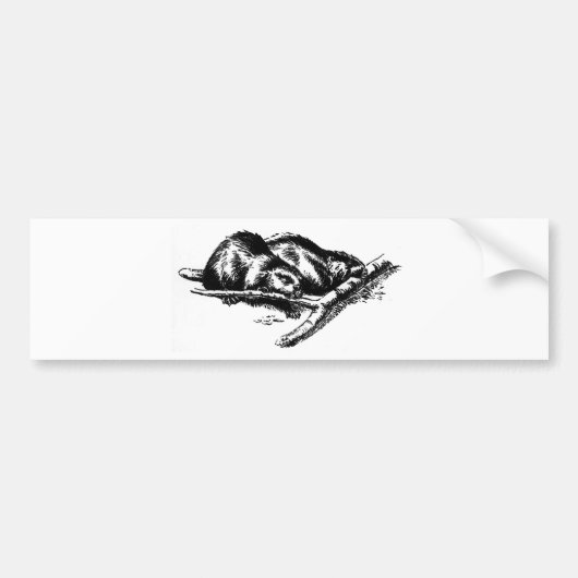 Beaver Bumpersticker (Voorkant)