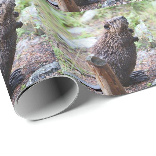 Beaver Cadeaupapier (Rol Hoek)