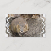 Beaver Design Visitekaartje (Achterkant)