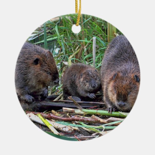 Beaver-familie Keramisch Ornament (Voorkant)