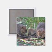 Beaver-familie Magneet (Voorkant / Achterkant)