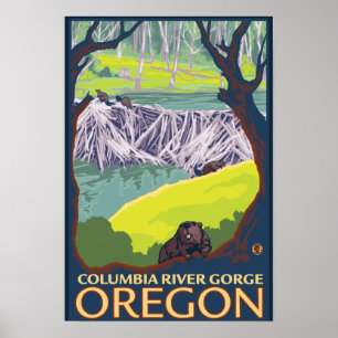 Beaver Family - Columbia River Gorge, Oregon Poster