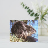 Beaver-foto Briefkaart (Staand voorkant)