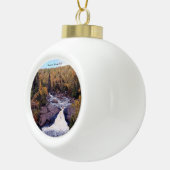 Beaver Herfst, ornament met kogel of sneeuwvlok (Rechts)