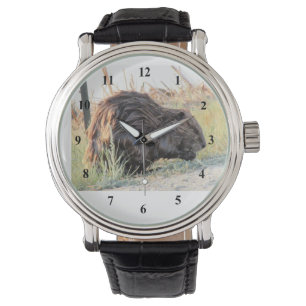 Beaver Horloge