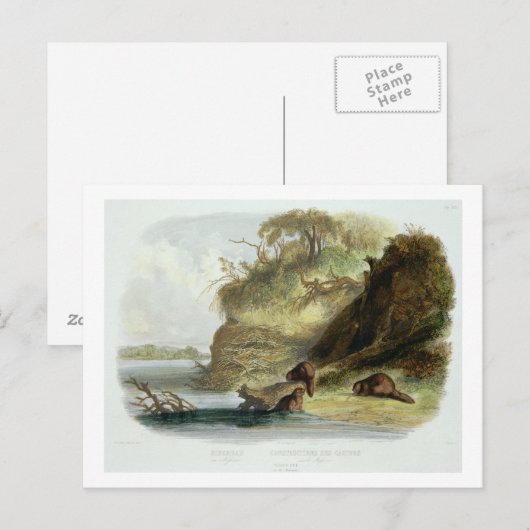 Beaver Hut op de Missouri, bord 17 van deel 1 Briefkaart (Voorkant / Achterkant)