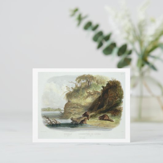 Beaver Hut op de Missouri, bord 17 van deel 1 Briefkaart (Staand voorkant)