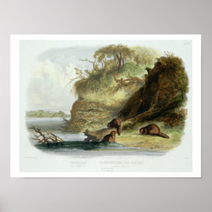 Beaver Hut op de Missouri, bord 17 van deel 1 Poster