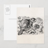 Beaver Illustration Retro Beavers and Dam Briefkaart (Voorkant / Achterkant)