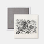 Beaver Illustration Retro Beavers and Dam Magneet (Voorkant / Achterkant)
