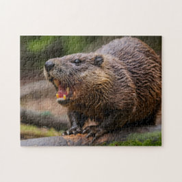 Beaver Jigsaw puzzels