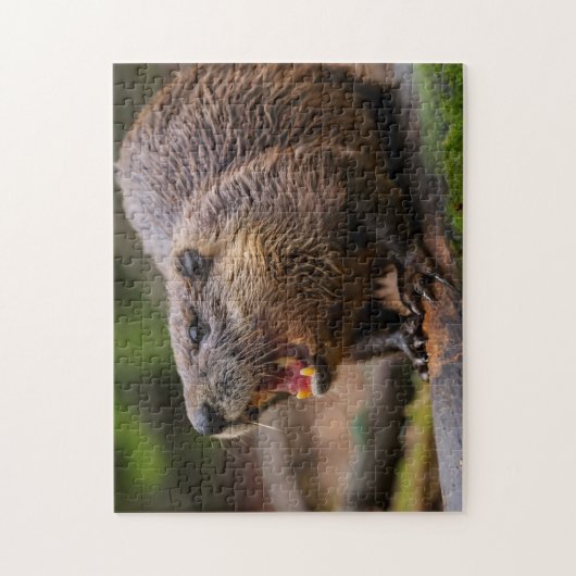 Beaver Jigsaw puzzels (Verticaal)