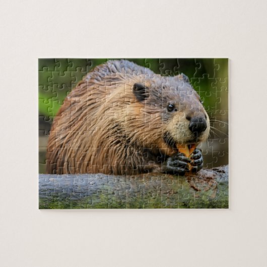 Beaver Jigsaw Puzzels AI (Horizontaal)