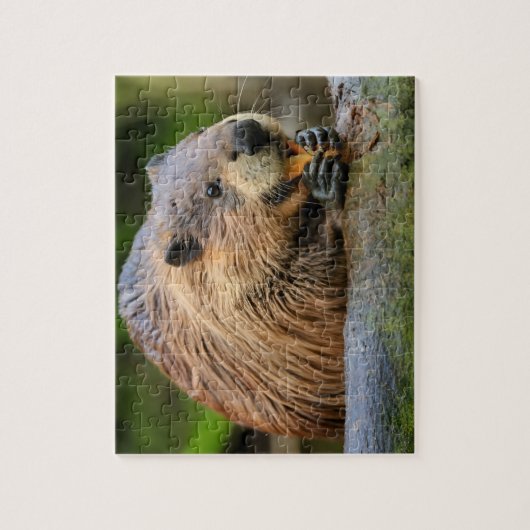 Beaver Jigsaw Puzzels AI (Verticaal)
