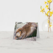 Beaver Kaart (Gele Bloem)