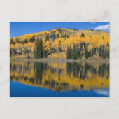 Beaver Lake in het najaar Briefkaart (Voorkant)